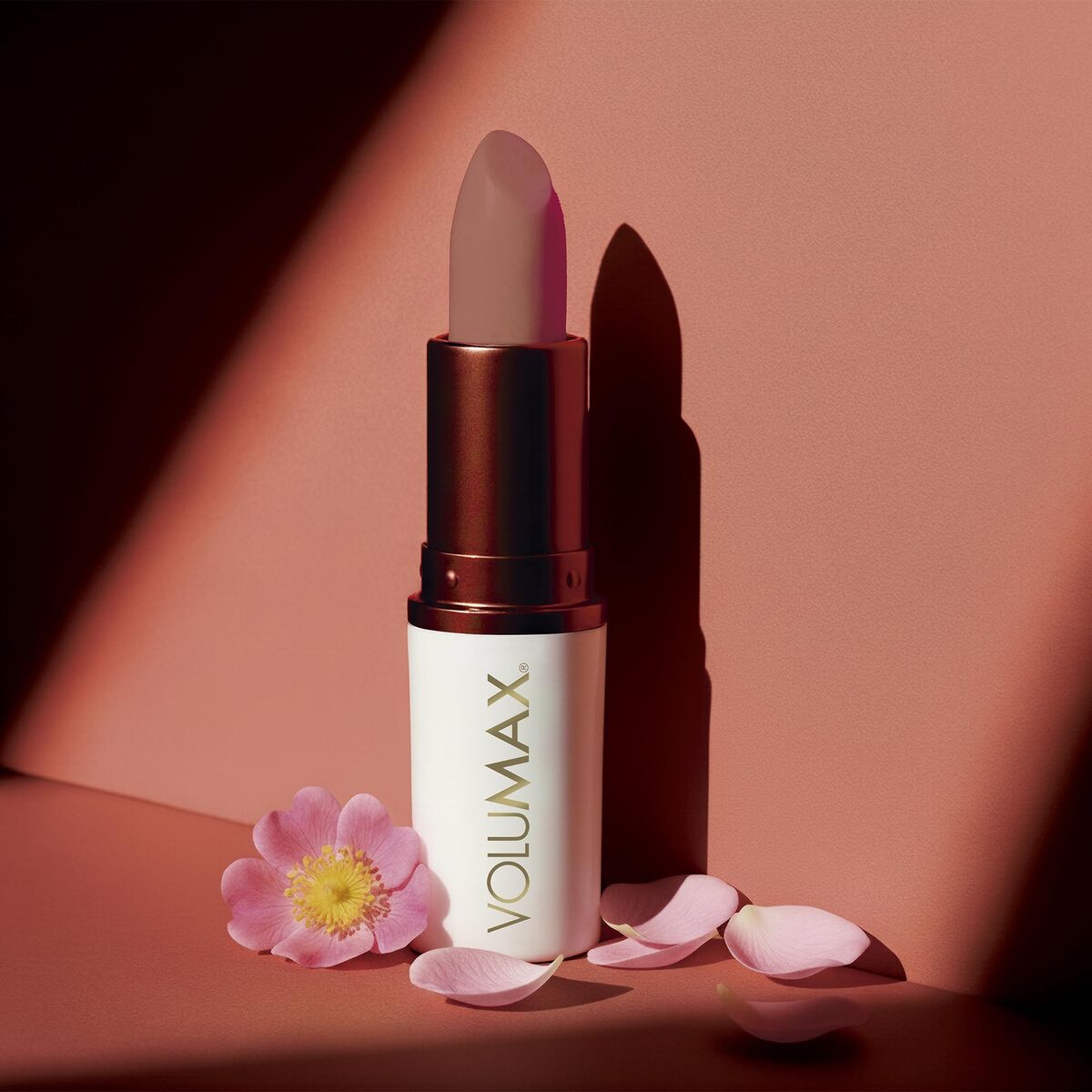 V2HEF30D02E203665846EF7480D9FD88884R7706968P7